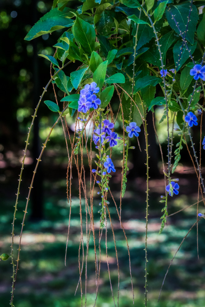 Τελευταία φωτογραφία